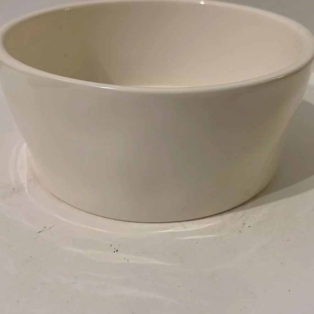 Rae Dunn Dog Bowl Bon Appetit 8” Across